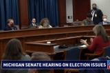 michigan hearing