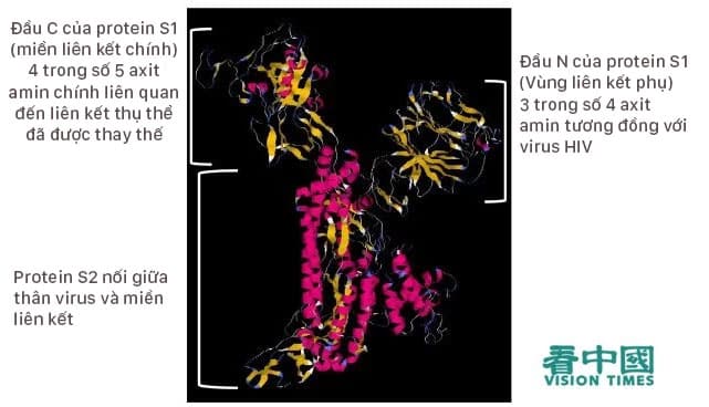 viêm phổi Vũ Hán, Virus COVID-19, robot nano sát thủ