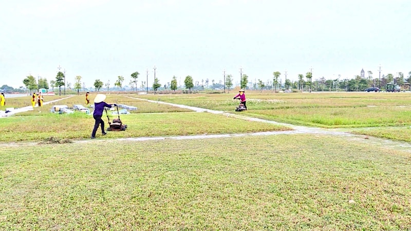 quang truong thai binh