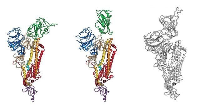 viêm phổi Vũ Hán, Virus COVID-19, robot nano sát thủ