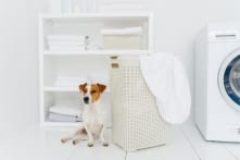 6 lợi ích ít biết của giấm đối với việc giặt ủi
