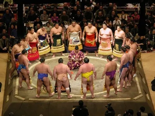 sumo Nhật Bản