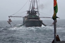 Hai tàu cá Trung Quốc bị phát hiện ở sâu trong vùng biển Thái Bình