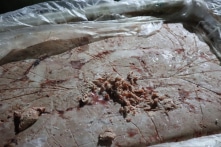 Lạng Sơn: Thêm gần 3 tấn nầm lợn, xúc xích… phân hủy, bốc mùi được lén đưa đi tiêu thụ