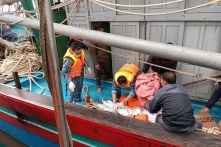 Nghệ An: Tàu cá bị đâm chìm trên biển, 8 ngư dân bám mảnh ván kêu cứu trong đêm