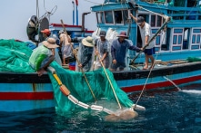 Thêm 16 ngư dân Việt Nam bị phía Malaysia bắt giữ