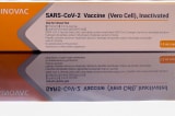 SINOVAC COVID 19 vaccine