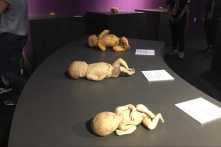 Nghị viện EU thông qua tuyên bố phá thai là ‘quyền con người’, Ủy ban Giám mục EU phản đối