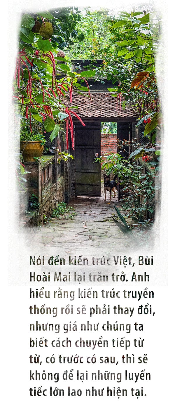 bui hoai maiArtboard 3 image