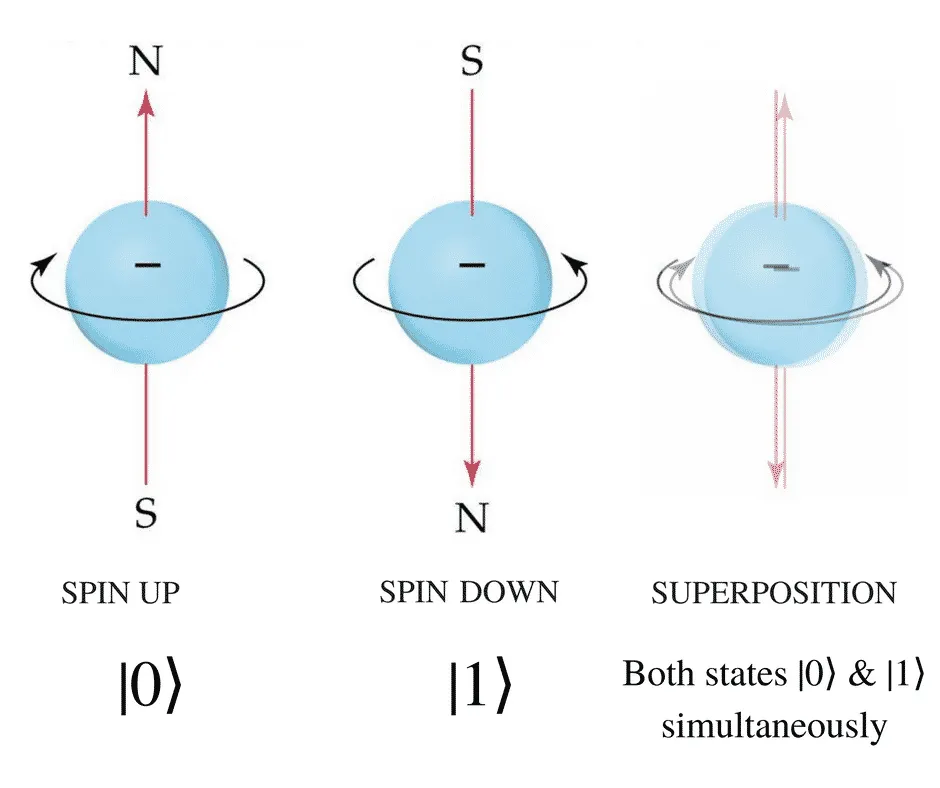 chong chap electron image