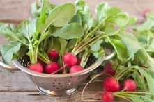 8 cặp rau củ hoàn hảo để trồng cùng nhau