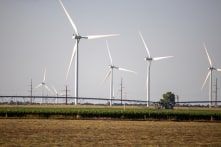 Học giả: Vụ mất điện ở Texas cho thấy sự không ổn định của năng lượng tái tạo