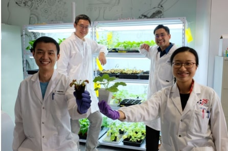 NTU: Phát triển thành công thiết bị “giao tiếp” với thực vật bằng tín hiệu điện
