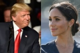 Trump Meghan