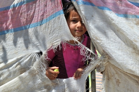 Hai cha con tị nạn Syria đổi đời nhờ những bức ảnh được chụp lén
