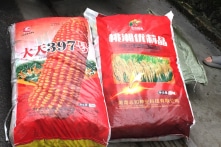 Đưa hơn 1,6 tấn lúa giống từ Trung Quốc nhập lậu vào Việt Nam