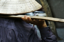 Bình quân mỗi ngày 17 người xin thôi quốc tịch Việt Nam