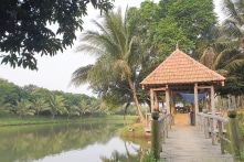 Giám đốc lâm trường chiếm rừng làm trang trại được Chủ tịch tỉnh ký tái bổ nhiệm
