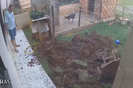 Người đàn ông làm nổ tung cả vườn nhà chỉ vì… diệt gián