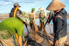 Dịch viêm phổi Vũ Hán bùng phát hai tháng, hơn 9 triệu lao động bị mất việc, cắt việc