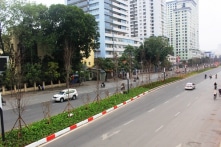 ĐBQH: ‘Trồng cây phong lá đỏ thất bại là bài học cay đắng’