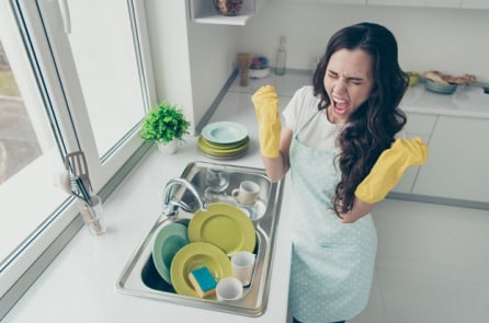 Chuyển nhà 18 lần trong 3 năm chỉ vì người vợ sợ… gián