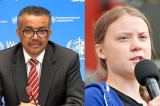 tedros thunberg