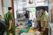 Hơn 3 tấn thực phẩm chay không rõ nguồn gốc bị tạm giữ