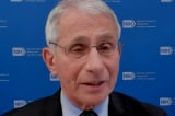 Anthony Fauci 40 50 nhan vien co quan cua toi chua tiem vac xin COVID 19 1 1