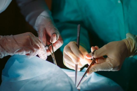 Người phụ nữ Belarus bị giết để lấy nội tạng trong vụ án buôn người