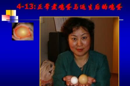 Cải tử hoàn sinh động thực vật – vượt trên hiểu biết của khoa học