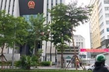 Năm 2023: Án tham nhũng, lợi dụng chức vụ tăng 74,1%