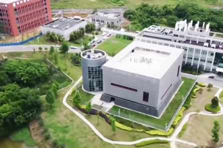 Chuyên gia: Viện Virus học Vũ Hán nghiên cứu tổng hợp virus Nipah nguy hiểm chết người