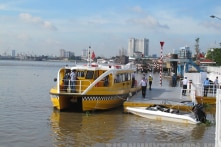 TP.HCM di dời, đốn hạ 178 cây xanh ở công viên bến Bạch Đằng