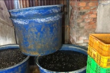 TP.HCM: Phát hiện hai cơ sở ngâm hơn 2 tấn ốc bằng hóa chất không rõ nguồn gốc