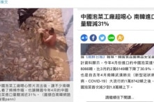 Lộ ảnh ‘nổi da gà’ tại xưởng sản xuất kim chi ở Trung Quốc