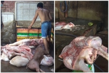 Dịch tả châu Phi đã “phủ” 30/34 tỉnh, thành; thịt lợn bệnh vẫn vào bàn ăn