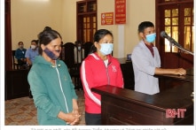 Ba người dân phản đối đổ tro xỉ nhiệt điện để san lấp bị kết án 51 tháng tù treo