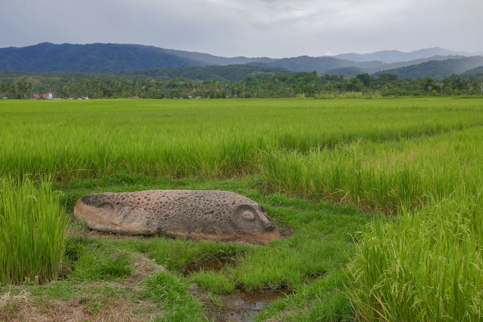 Cự thạch Indonesia