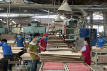 Bình Dương: Có 248 nhân viên nhiễm COVID-19, một công ty có 800 công nhân phải xin hỗ trợ