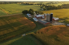 Virginia chuyển sang cấm Trung Quốc mua đất nông nghiệp