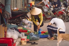 45% chợ truyền thống TP.HCM bị tạm đóng cửa, Sở Công thương yêu cầu cân nhắc cho tiểu thương