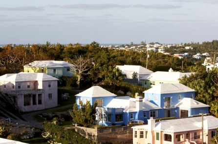Vì sao mọi mái nhà ở Bermuda đều có màu trắng?