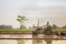 Triều Tiên nói người dân cần ăn ít đi trong ít nhất 3 năm tới