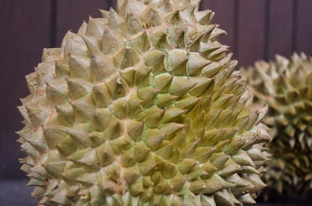 Trái sầu riêng đặc biệt khiến bộ trưởng Malaysia cũng phải chú ý