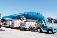 Bộ Y tế: Cho sử dụng 1 triệu liều vắc-xin Sinopharm TP.HCM nhập về