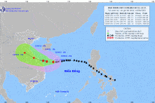 Bão Conson: Ảnh hưởng đến 6 tỉnh, TP có 4.280 F0; dự kiến sơ tán 766.277 người