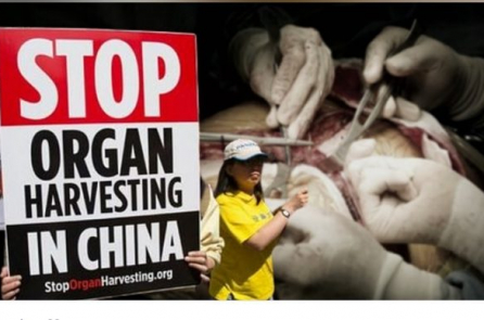 Luật sư Iglesias: ‘Đã đến lúc thức tỉnh’ về nạn mổ cướp nội tạng của ĐCSTQ