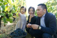 Tài sản các nơi của vợ chồng Triệu Vy