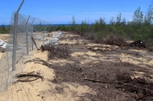 Phá hơn 5,2ha rừng phòng hộ để làm Nhà máy điện mặt trời: Do nhầm lẫn?